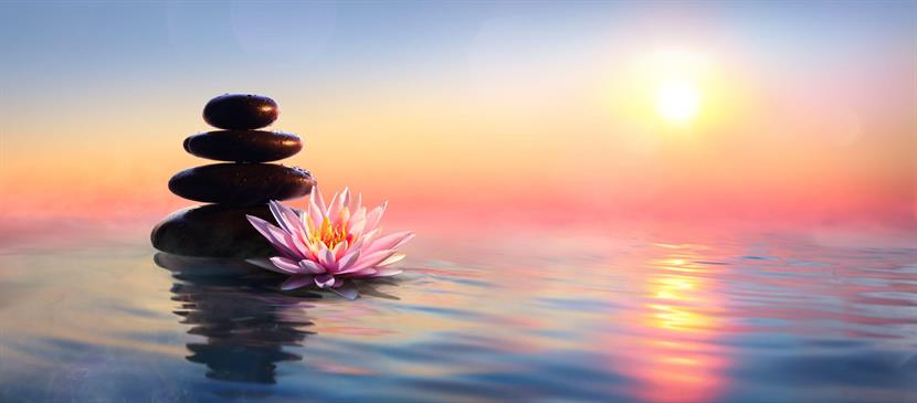 Mindfulness Meditation Group